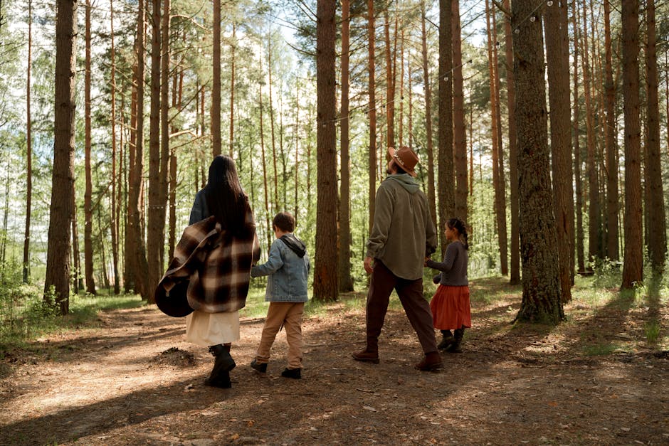 Family-Friendly Activities and Attractions in the New Forest