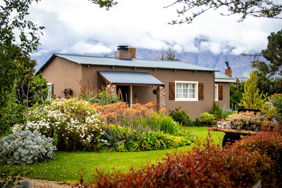 Where to Stay in the New Forest: Choosing Your Base